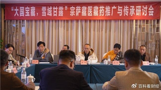 德格宗萨藏医藏药传承推广研讨会顺利召开