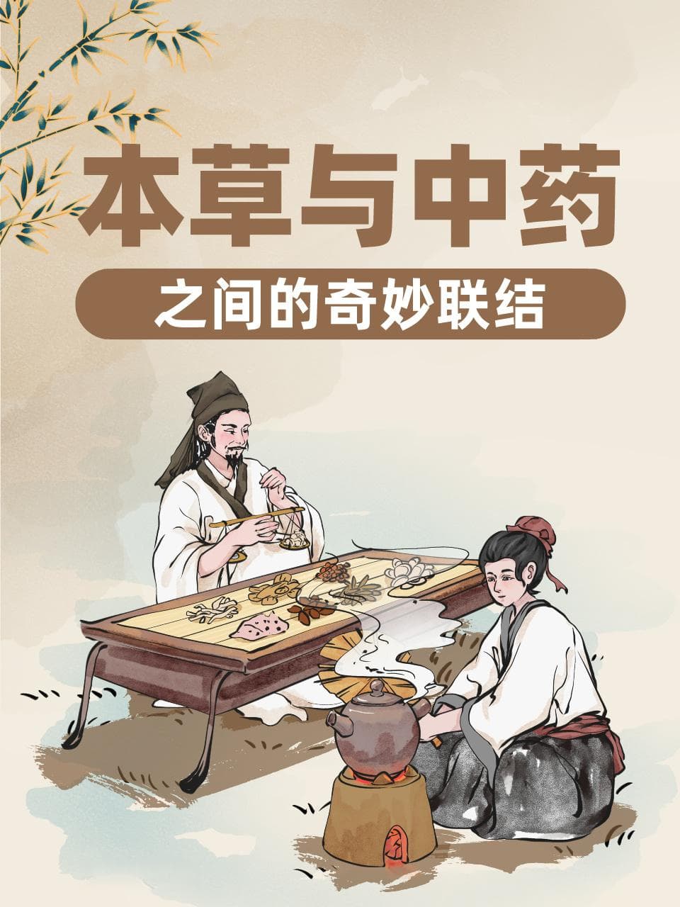 本草与中药之间的奇妙联结