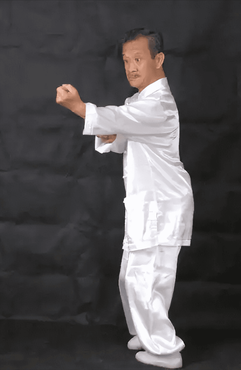 张烈老师形意拳教学理念与武学思想