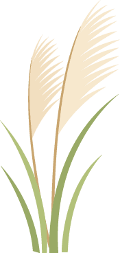 群晖home和homes文件夹介绍
