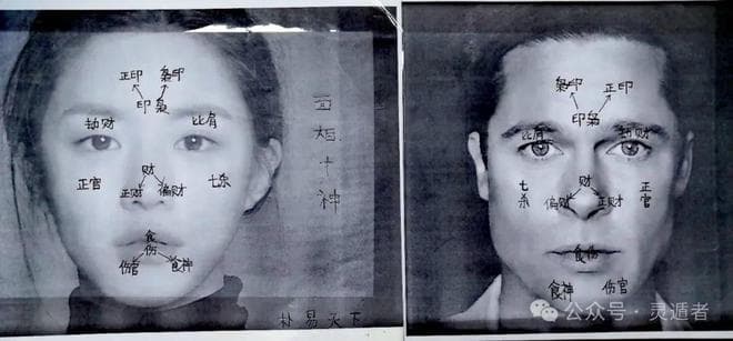 《相观天下》的基本介绍和内容导读