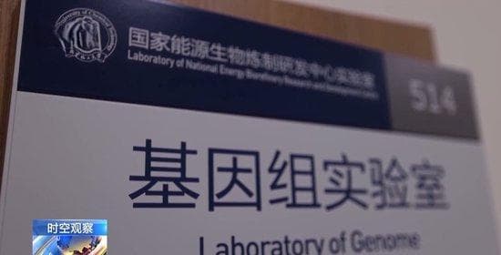 高考志愿怎么填？热门还是爱好？专业人士给出解答→