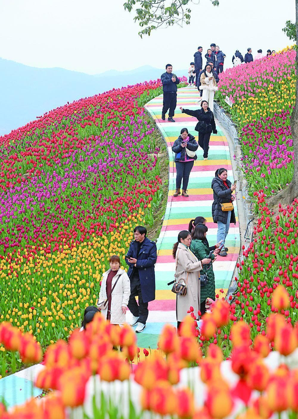多地回暖冲30℃ 但厚衣服先别收 3月初降温最低0℃