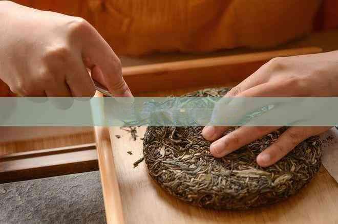 缓解胀气的养胃茶饮