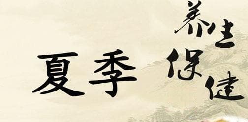三伏天怎么养生？常喝这些粥，清热解暑，健脾祛湿，养胃助消化