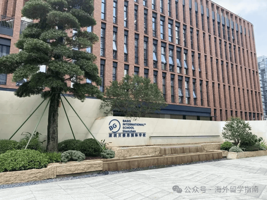 深圳国际教育择校指南：解码大湾区的「教育立交桥」