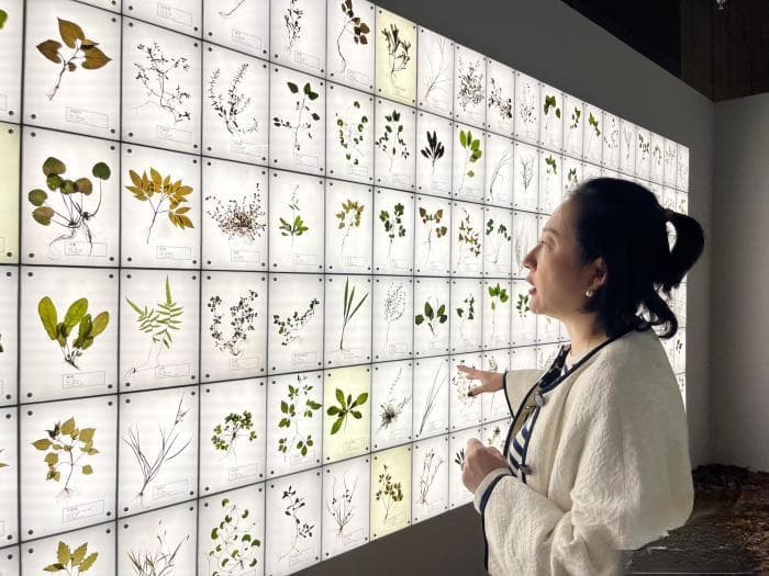 “疗愈千年·本草纲目”沉浸式主题展在沈阳启幕