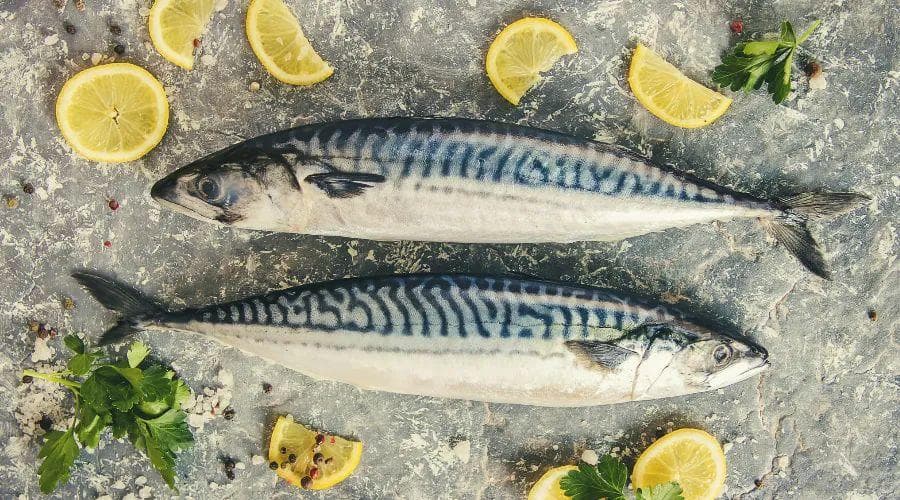 年底饭局多又推不掉？试试中国人的“地中海饮食”