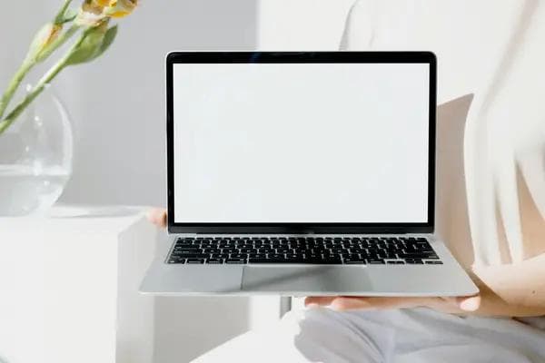 深度解析：如何准确诊断作品类型，打造小红书爆款内容