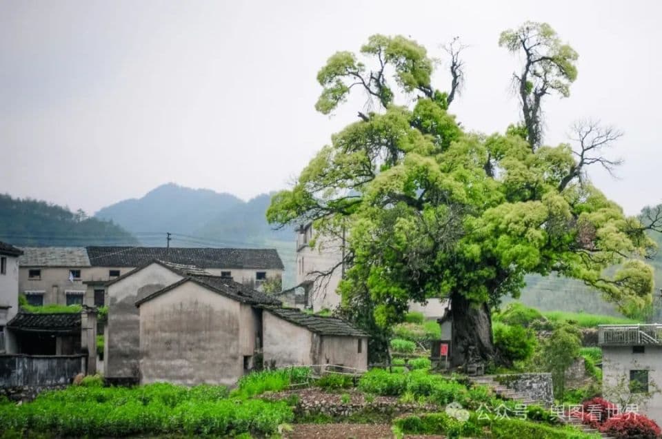 地名趣谈：全国洲字地名近三万个，你了解哪些洲字地名？