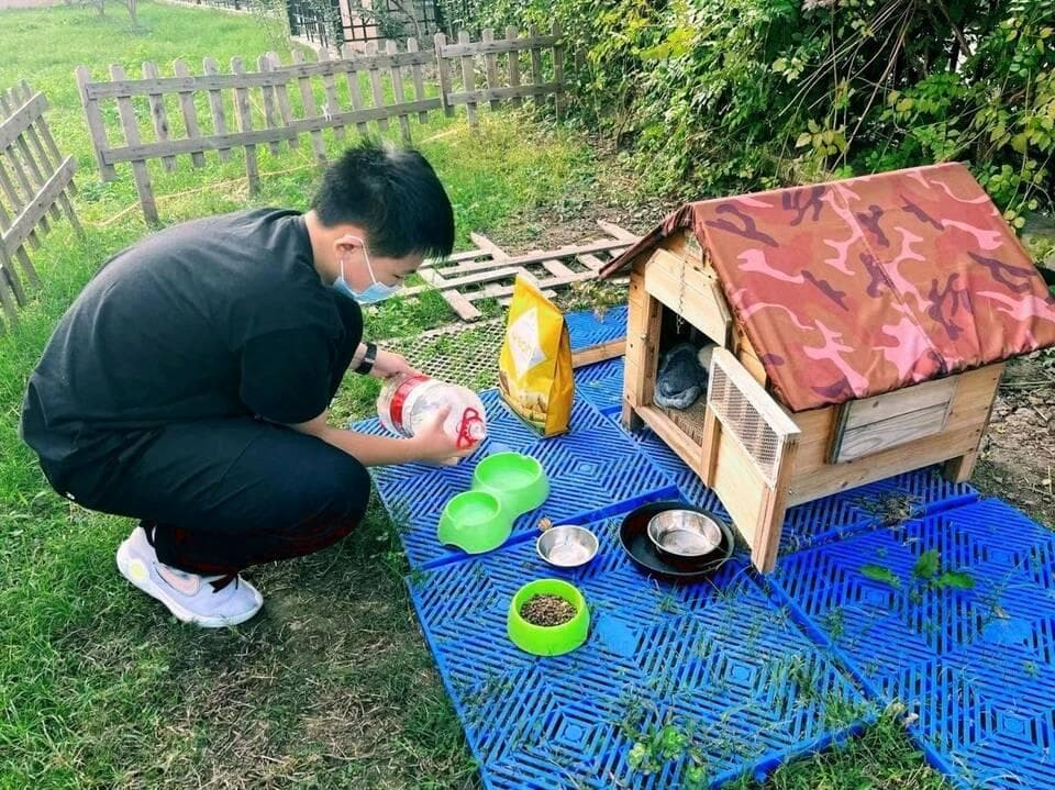 “用爱停止流浪”，浦东这个志愿服务项目有温度、有效果