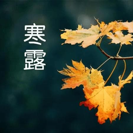 寒露登高：秋日里的文化传承与养生之道