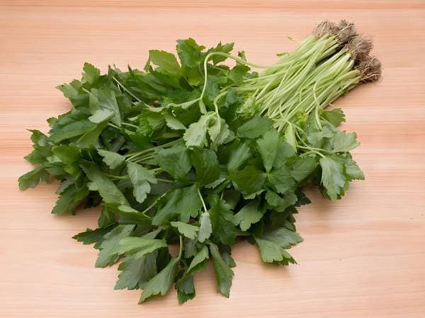世界讨厌香菜日：约15%的人完全不能接受，和基因有关