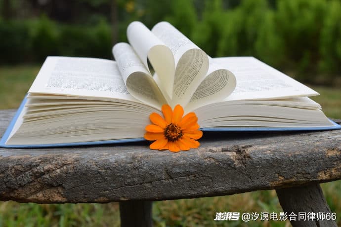 什么是执行和解？