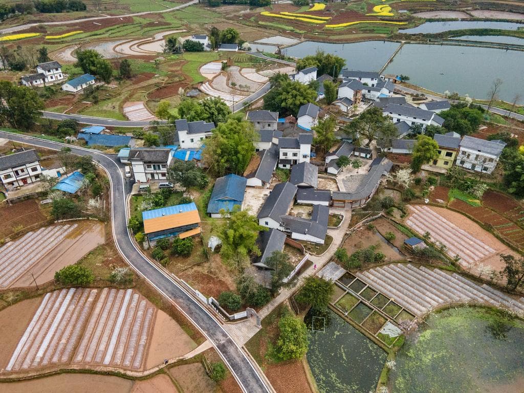 重庆合川区肖家镇：依托卢作孚祖屋打造农文旅融合示范样板