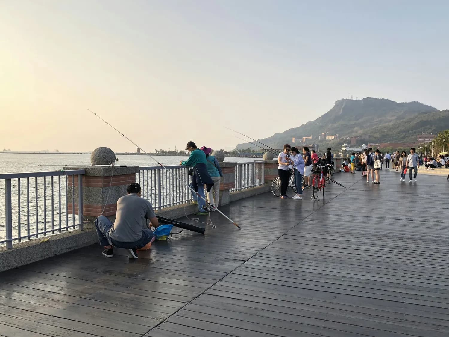 深圳湾延长禁渔五年，违规垂钓威胁生态安全