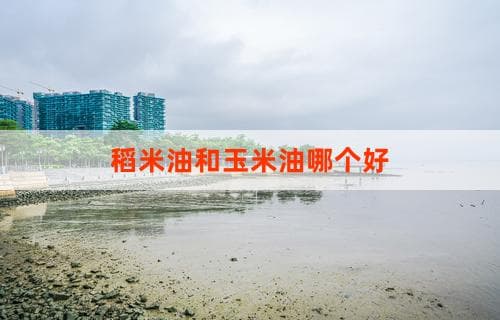 稻米油和玉米油哪个更好：全面对比解析
