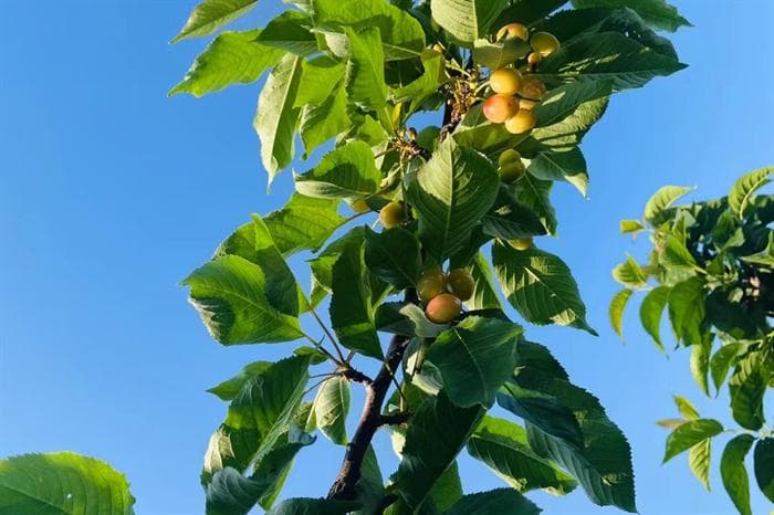 《周易》中的辩证法思想分析