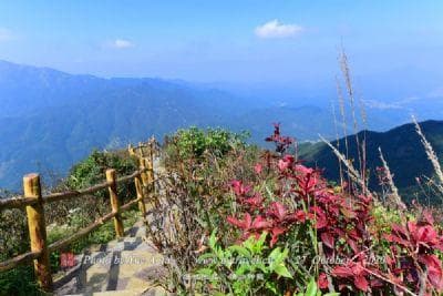 乐清市十大旅游景点