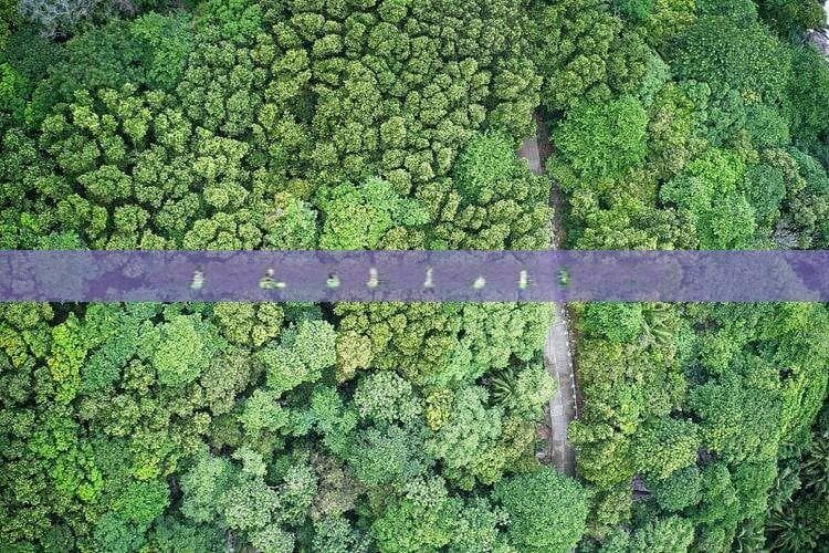 北海至乌鲁木齐：自驾游路线和公共交通选择指南