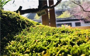 电话录音怎么做证据有效