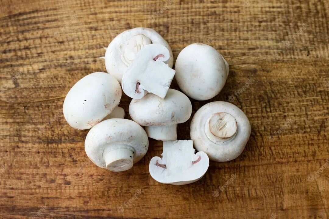 食材日历 | 鲜掉眉毛的“口蘑”你了解吗？