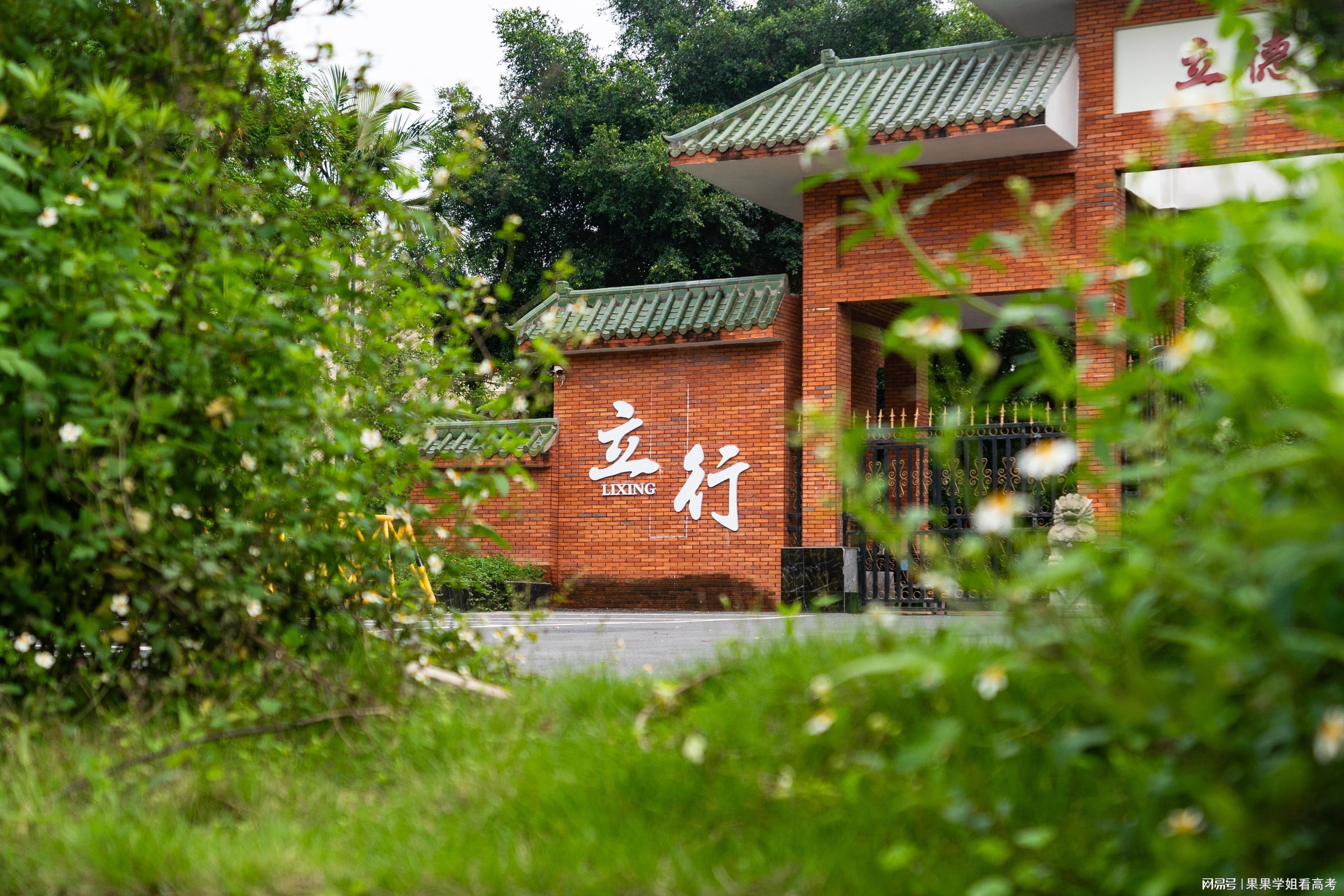 艺考生高效学习策略：充分利用时间与资源