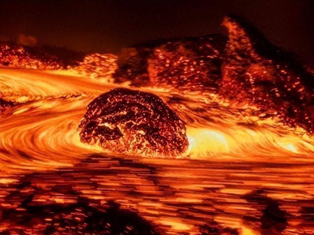 地球上最耐热的动物，把“火山”当游泳池，连科学家也想不明白