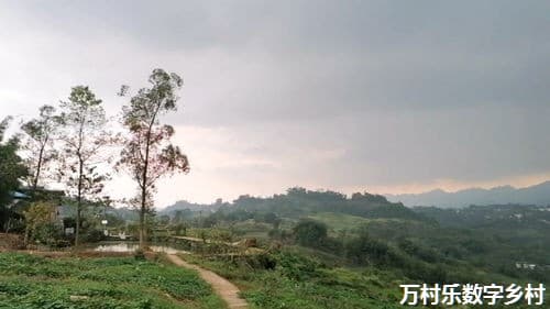 乡村振兴战略下的农村文化传承与创新：探索新时代的乡村文化发展路径
