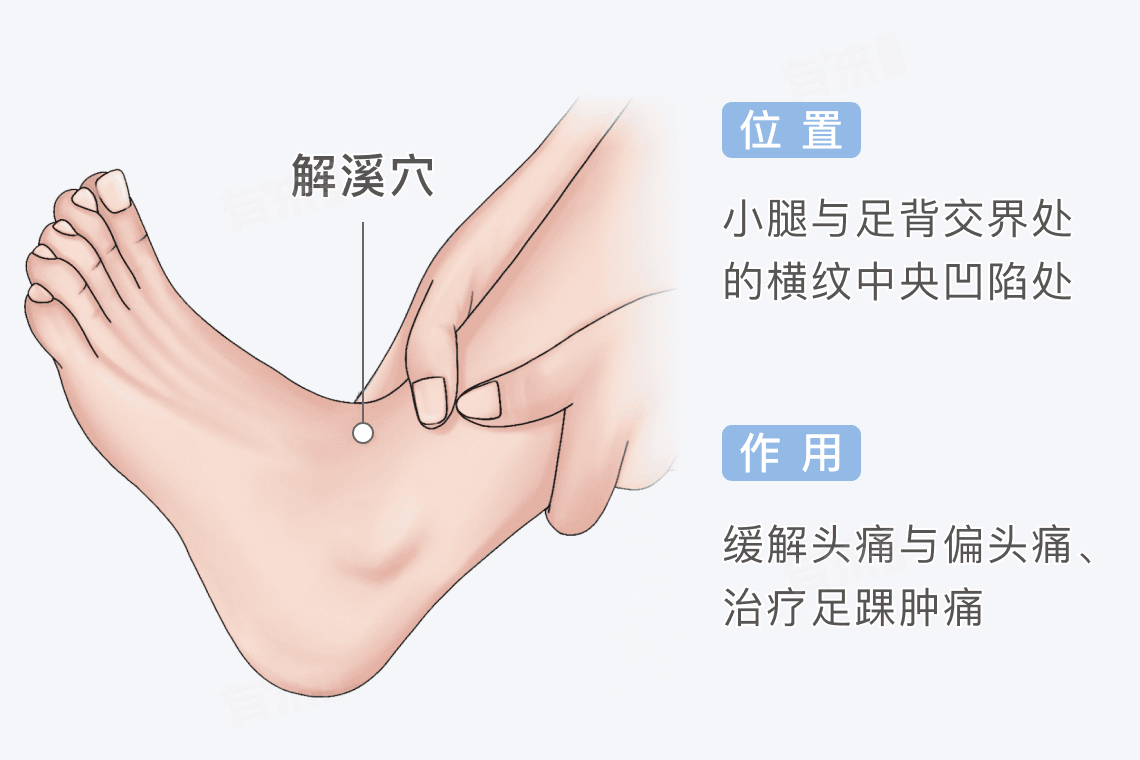 解溪穴的准确位置图和作用