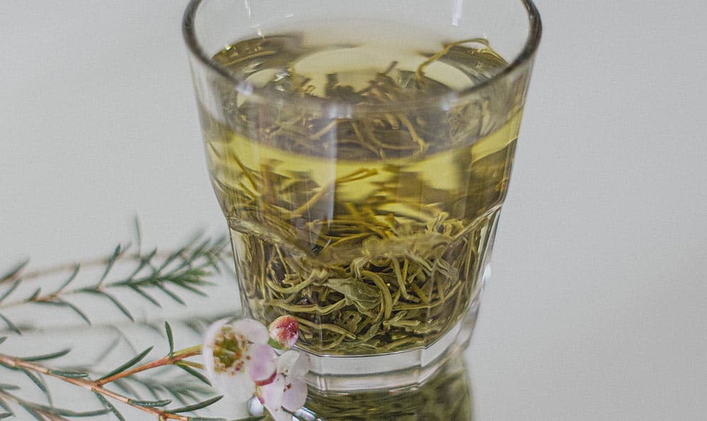 铁观音茶花的功效