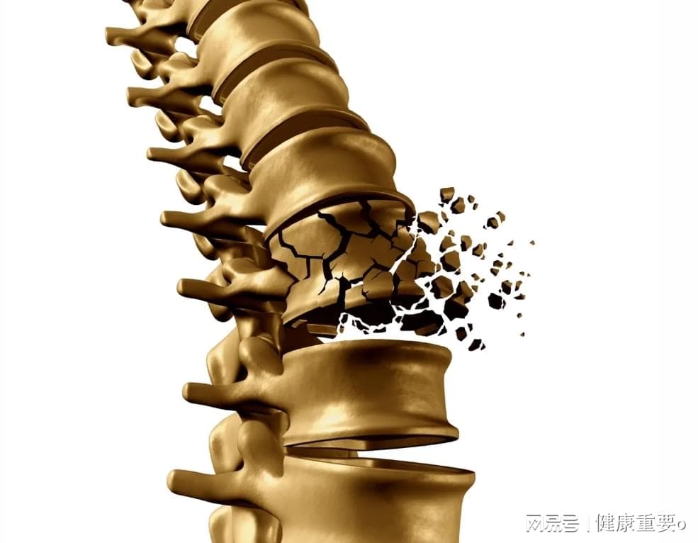 马尾神经损伤的两种类型：脊柱骨折脱位与火器伤