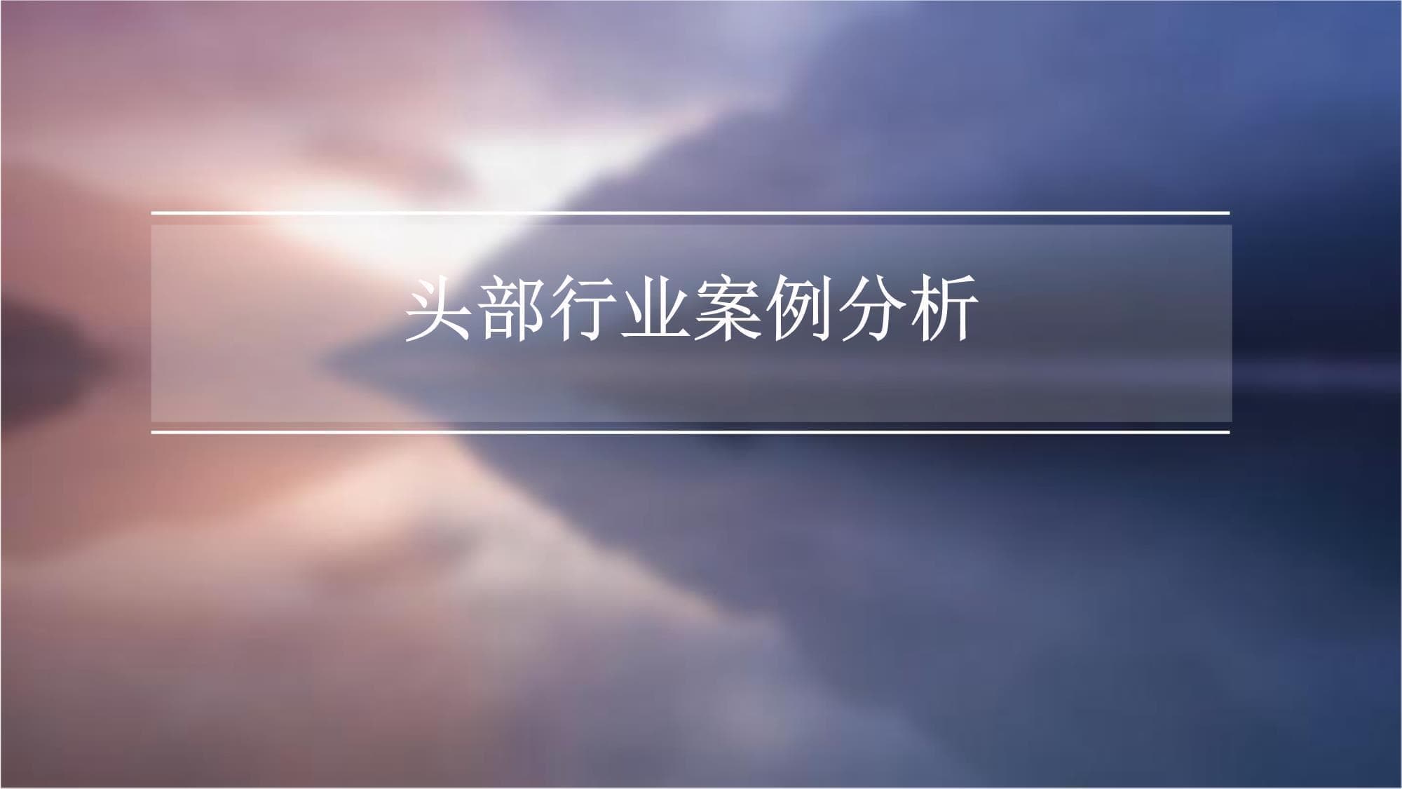 头部行业案例分析
