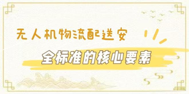 无人机物流配送的安全标准与实施策略