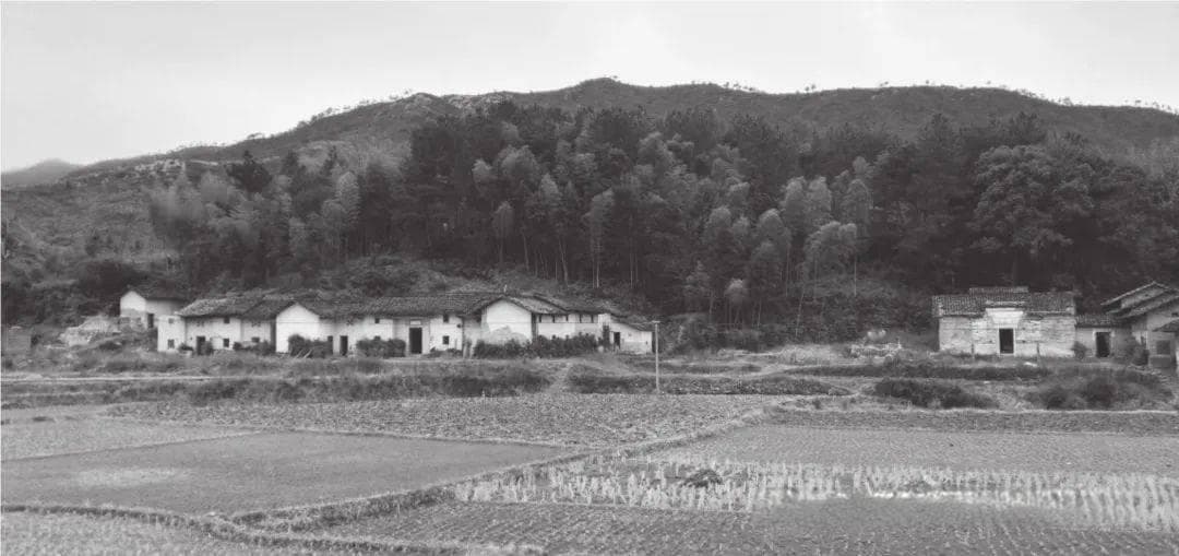 客家传统居住文化中的树木信仰