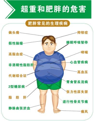 认识食物 选择营养素密度高的食物