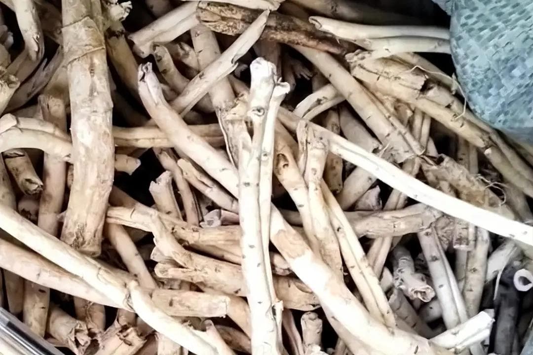 中药材行情普跌下，这些品种却暗藏长期投资与种植良机！