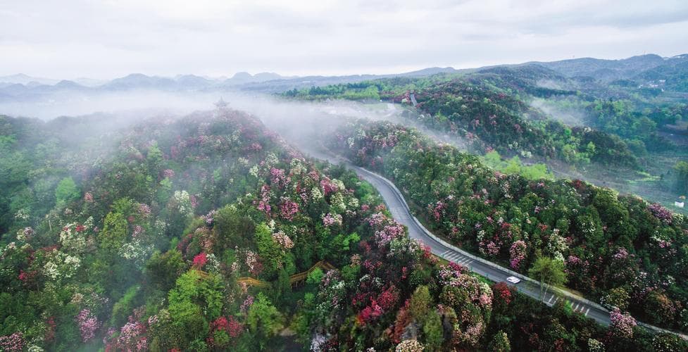 探寻毕节美景，感受黔西文化魅力