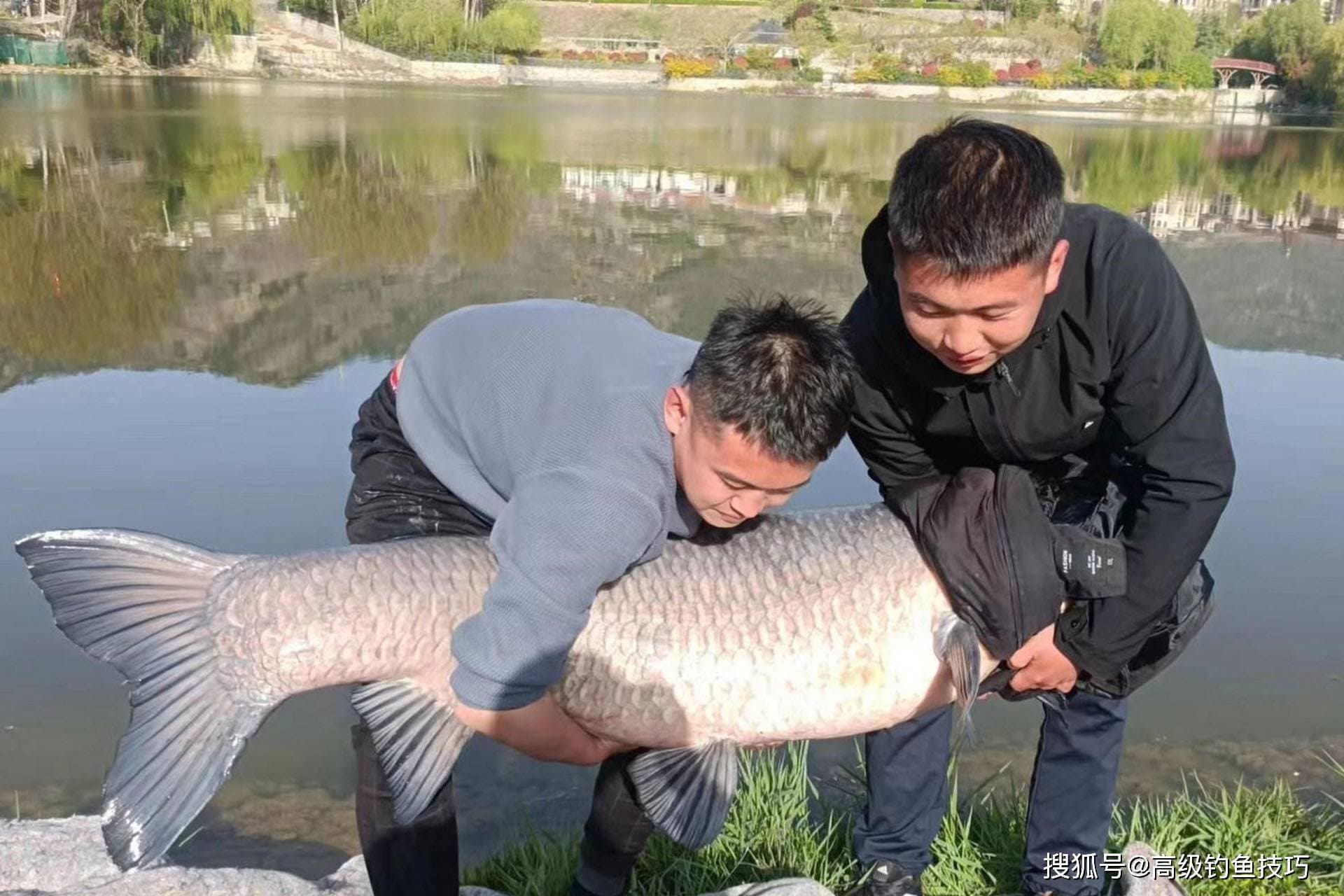 湖库野钓大鱼用饵的4个禁忌