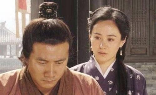 朱元璋的能力被高估了，历史对他的评价极高，所以说瑕不掩瑜