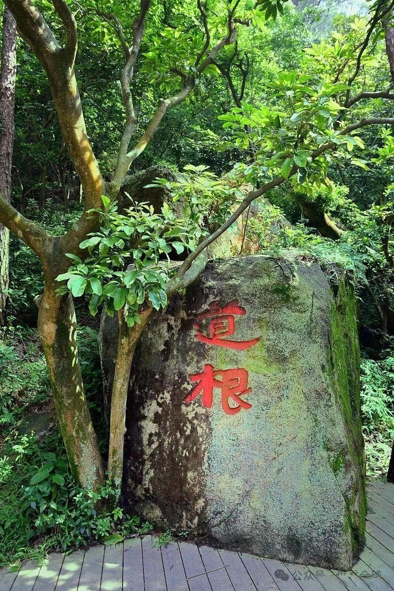 清源山景点介绍，千年古道，人文荟萃——清源山等你来探！