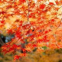 练气和筑基区别