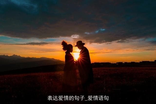 表达爱情的句子：爱情语句中的深情与浪漫