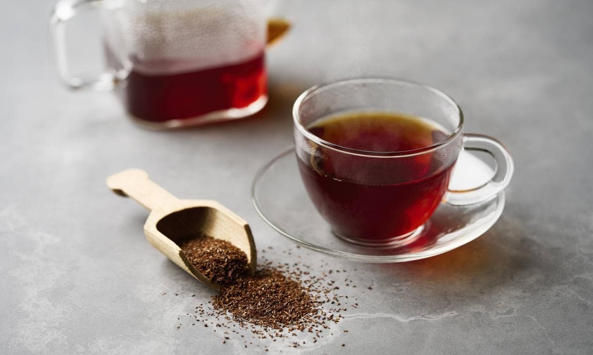 路易波士茶：一种源自南非的健康饮品