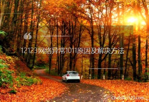 12123网络异常1011原因及解决方法