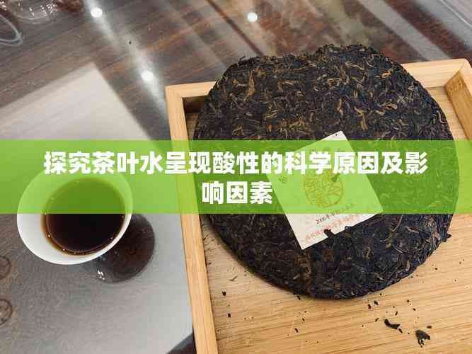 探究茶叶水呈现酸性的科学原因及影响因素
