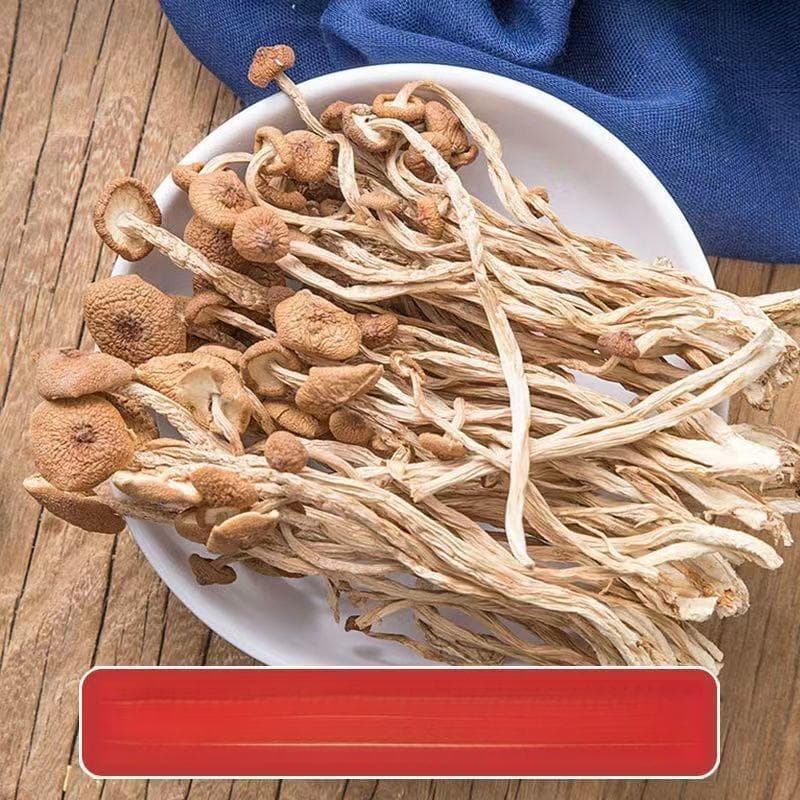 茶树菇的功效与作用探析