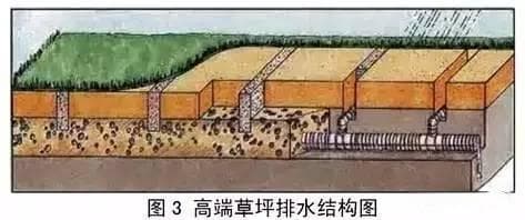 草坪如何建植，后期如何养护和管理，注意事项有哪些？