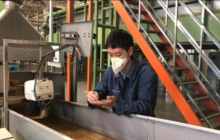 Esse香烟对身体健康的影响：揭秘“轻柔”背后的真相