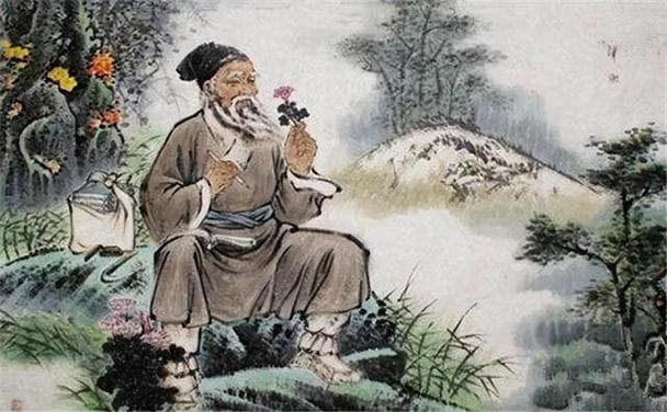 中医食疗在眼部疾病治疗中的应用